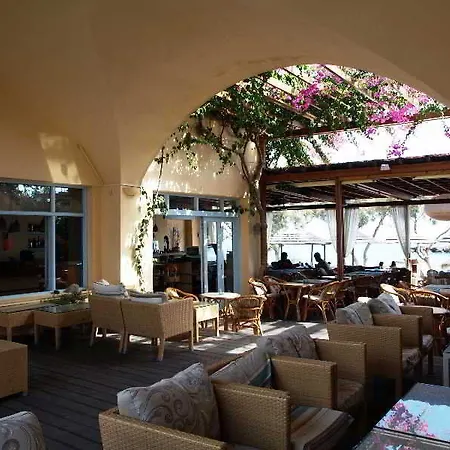 Levante Καμάρι